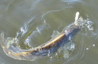 DSC_2691.JPG
