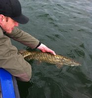 IMG_0447 - Kopie.JPG