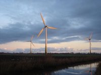 DSC00370 - Kopie.JPG