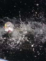 SDC15457 - Kopie.JPG