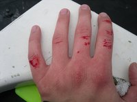 SDC15472 bearbeitet.JPG