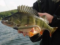 SDC15636 - Kopie.JPG