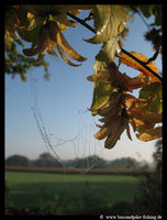 Herbst.jpg