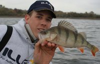 IMG_6656 - Kopie.JPG