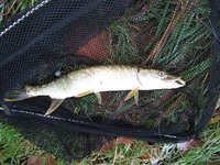 IMG_4465.JPG