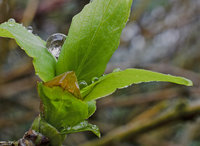 Blatt_1b.jpg