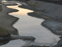 IMG_4684.JPG