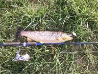 K640_K800_Bafo 40er.JPG