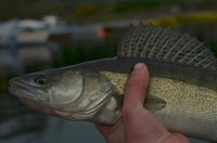 DSC_2048-001 - Kopie.JPG