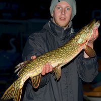 DSC_2067-001 - Kopie.JPG