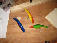 IMG_5911.jpg