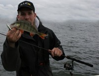 Robin Illex Barsch.jpg