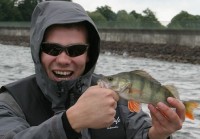 Barsche ärgern (-;IMG_1210.jpg