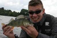 Barsche ärgern (-;IMG_1234.jpg