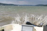 Barsche ärgern (-;IMG_1261.jpg