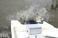 Barsche ärgern (-;IMG_1271.jpg