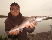 comp_2012-07-01-041.jpg