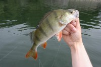 Barschl Tour 02.07.12IMG_1309.jpg