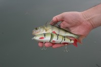 Barschl Tour 02.07.12IMG_1375.jpg