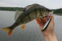 Barschl Tour 02.07.12IMG_1393.jpg