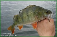 Angeltour MöhneIMG_1731.jpg