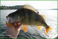 Guiding Möhne 06.08.12IMG_1771.jpg