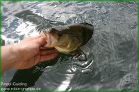 Guiding Möhne 06.08.12IMG_1793.jpg