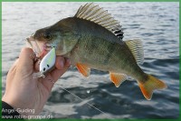 Guiding Möhne 06.08.12IMG_1756.jpg