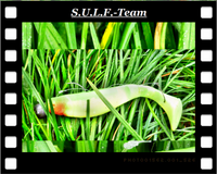 Bilderrahmen - 2010.09.30 17.17.18 - (P1010567).png