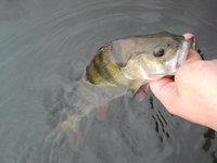 2012-09-05 10.09.09.jpg