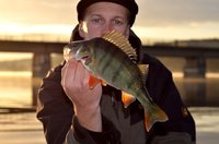 DSC_4484-001 - Kopie.JPG