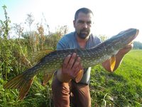 SDC14708 - Kopie.JPG