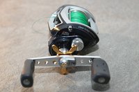 UBF_toro61_01.jpg