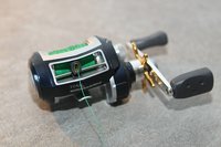 UBF_toro61_02.jpg