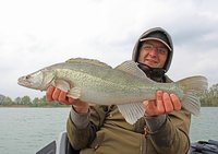 68cm Zander 1.Mai.jpg