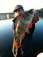 1-Topwater Barsch.jpg