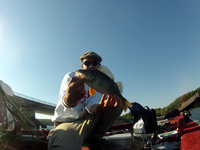 1-Barsch 06.09.2013.JPG