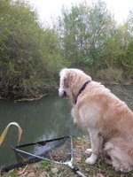 K640_IMG_1035.JPG