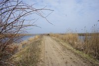 2015-03-21--3 Donaudelta.JPG