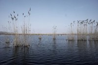 2015-03-21--10 Donaudelta.JPG