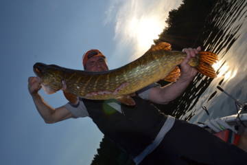 DSC_0011 (FILEminimizer).JPG