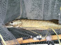 IMG_0861 (FILEminimizer).JPG