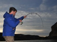 BaitjiggerH2m+-DSC_0796.jpg