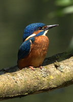 01 06 09_0627_filtered.jpg