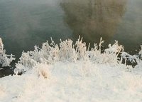 K640_Impressionen der Natur 3.JPG