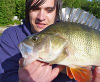 P1030449 - Arbeitskopie 2.jpg