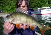 P1030448 - Arbeitskopie 2.jpg