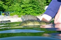 P1030454 - Arbeitskopie 2.jpg