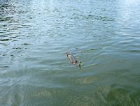 P1030441 - Arbeitskopie 2.jpg