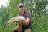 comp_IMG_8878 bea.jpg